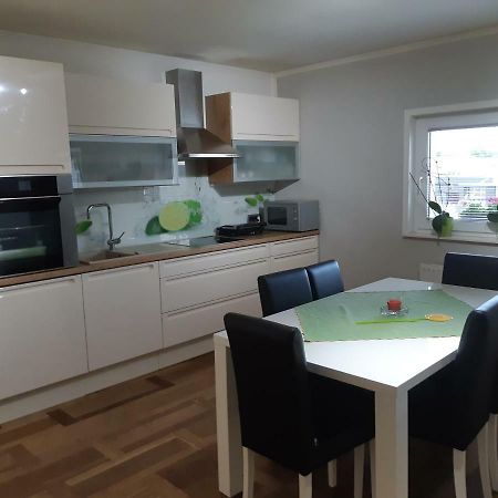 Sanja Apartment Near To Ljubljana Preserje pri Radomljah 외부 사진